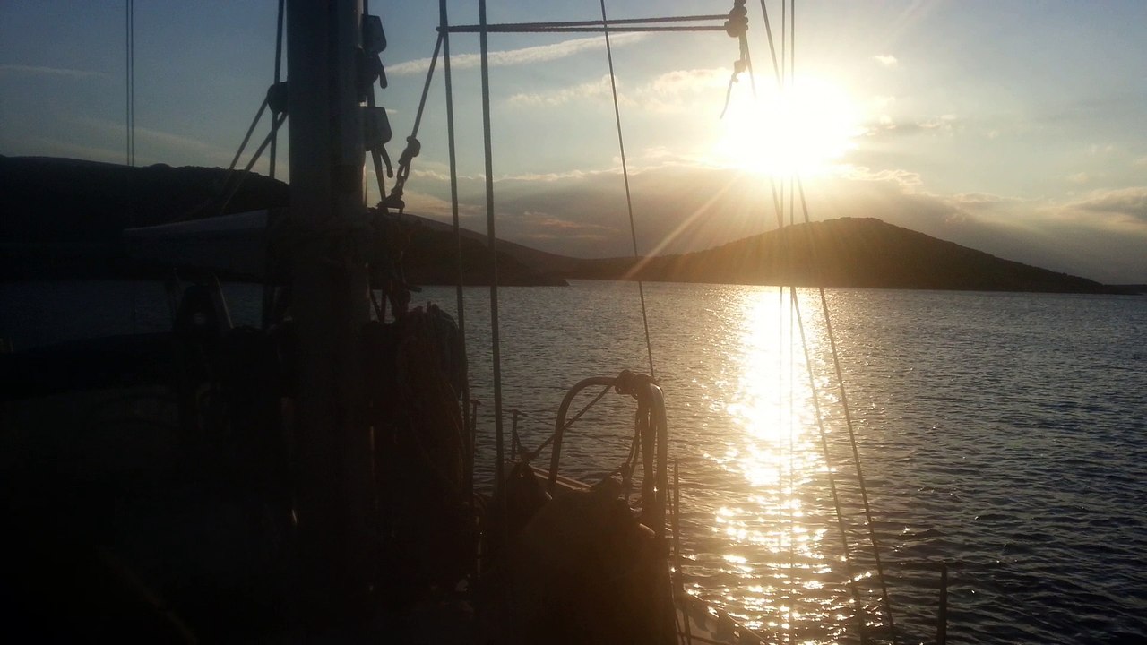 Fleur de Passion 2017 - Nos voeux de bonne année