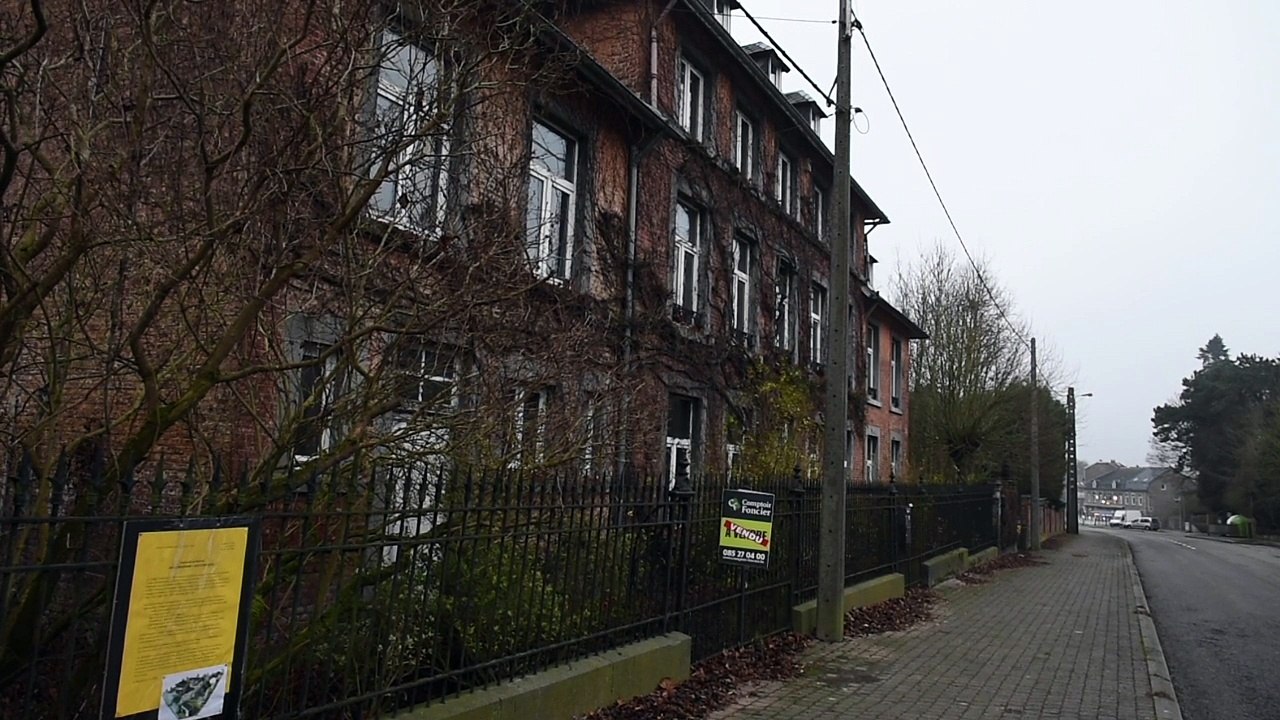 Neuville des arbres remarquables vont être abattus pour construire un quartier
