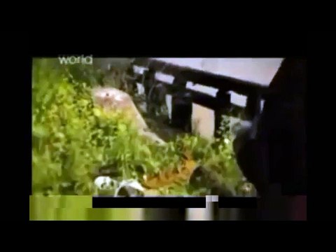 Serial Killer - Arthur Shawcross - The Genesee River Killer - Crime Documentary