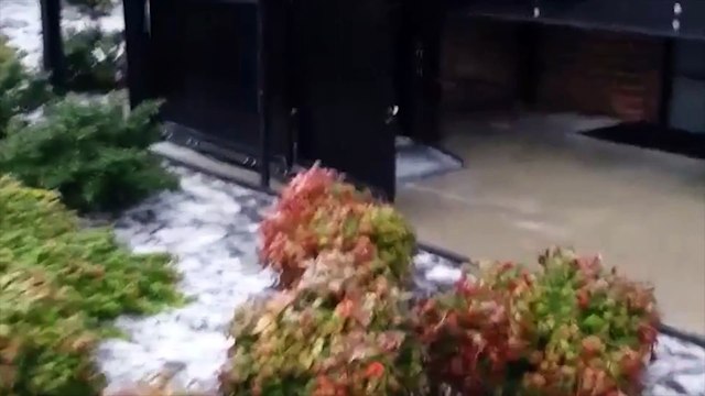 Winter Sports and Snow Fails Compilation - Christmas Edition