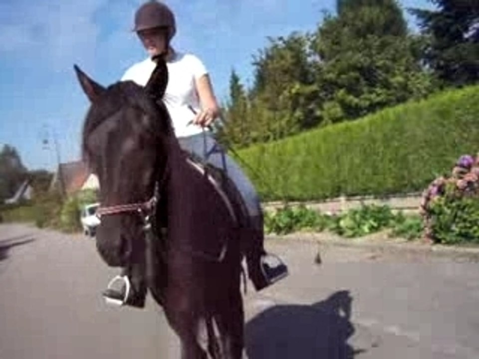 Quiator en balade