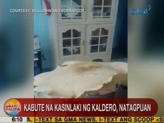 UB: Kabute na kasinlaki ng kaldero, natagpuan sa M'lang, Cotabato