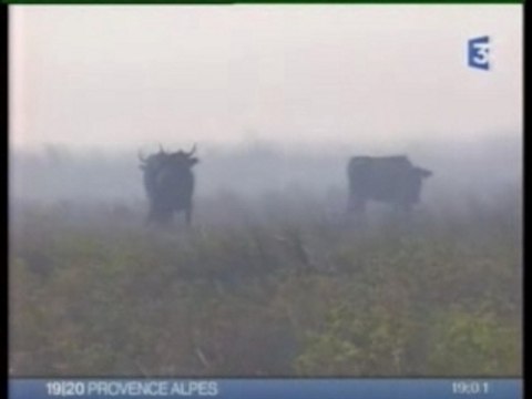 Arles/Fos : Feu du 5/09/2007