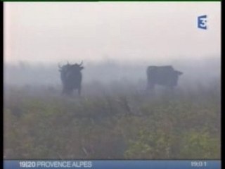 Arles/Fos : Feu du 5/09/2007