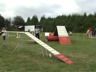 Concours d'Agility de Laurenan 2006