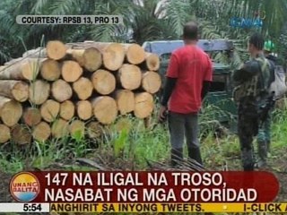 UB: 147 na iligal na troso, nasabat ng mga otoridad sa Agusan del Sur
