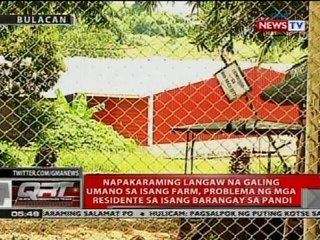 Napakaraming langaw na galing umano sa isang farm, problema ng mga residente