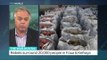 Interview with Gregory Barrow about UN aid convoy for starving Syrians in Madaya