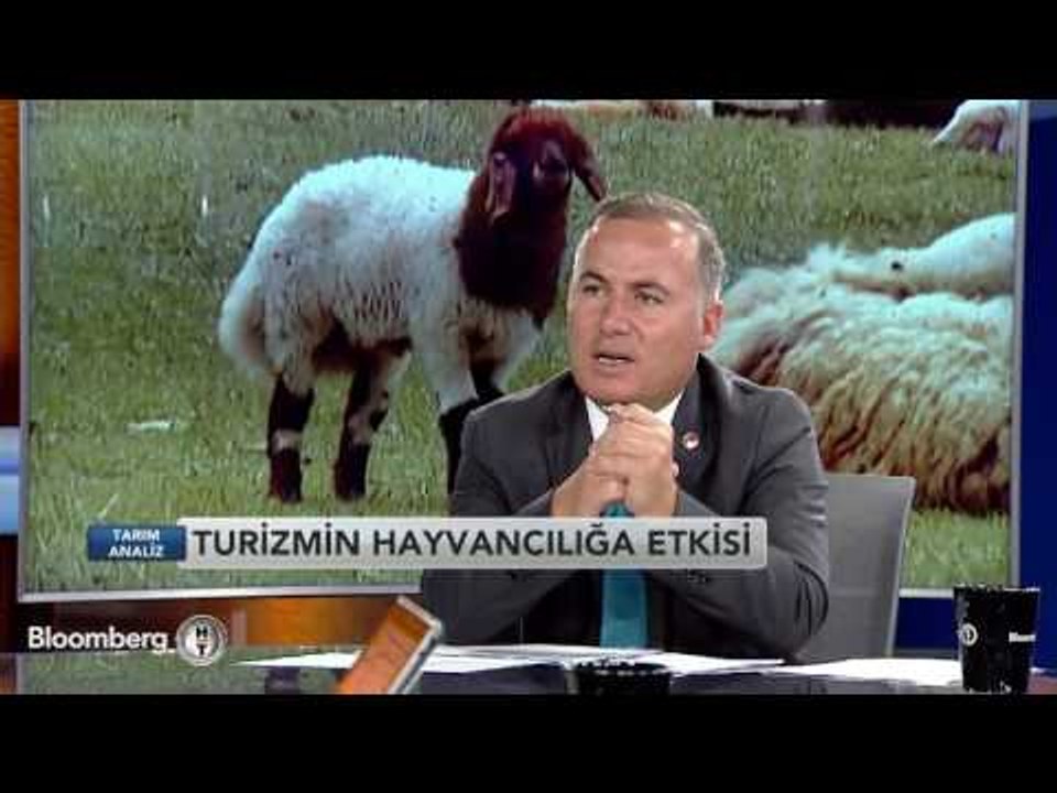 Tarım Analiz | Küçükbaş Hayvancılık | 7 Eylül 2016