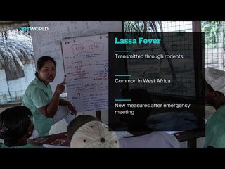 Nigerian health officials concerned over outbreak of Lassa Fever