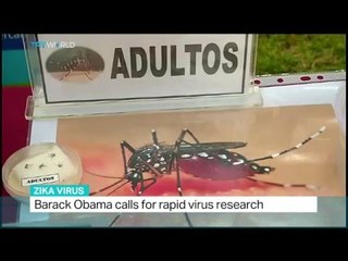 Stephen Higgs talks to TRT World about Zika virus