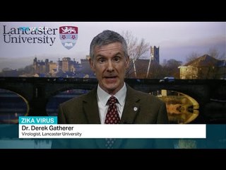 Virologist Derek Gatherer talks to TRT World on the protections against Zika virus