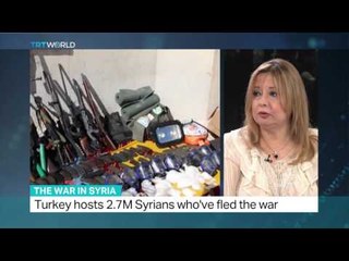Interview with Gulnur Aybet on the war in Syria