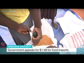 Government appeals for $1.5B for food imports in Zimbabwe