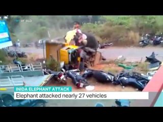 Elephant attacked nearly 27 vehicles in India