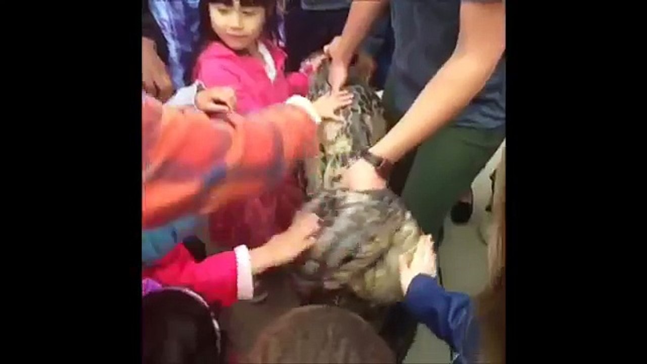 Funniest Vines Compilation of the Week    BestVine