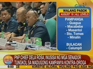 UB: PNP Chief Dela Rosa, inusisa ng mga senador tungkol sa magudong kampanya kontra-droga
