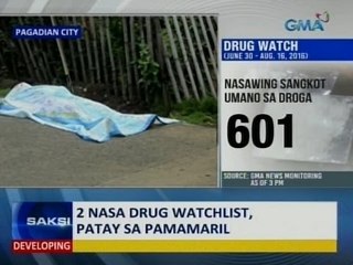 Saksi: PNP Chief Bato: Syndicated killings at hindi vigilante killings ang ilang pagpatay