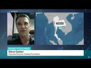 Interview with Steve Galster from Freeland Foundations on rhino poaching