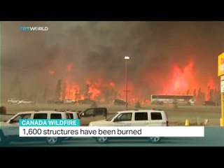 Interview with Michel Picard on Canada wildfire