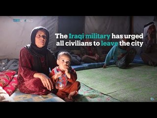 Urgent Update: Humanitarian Crisis in Fallujah 🚨