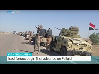 Iraqi forces begin final advance on Fallujah, Jon Brain reports