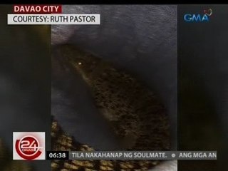 24 Oras: Buwayang mahigit isang metro ang haba, nahuling lumalangoy sa baha sa Davao City