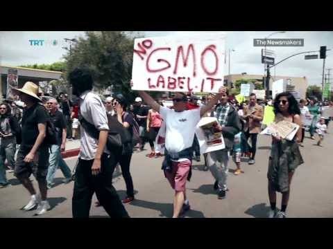 The Newsmakers: Genetically Modified Food