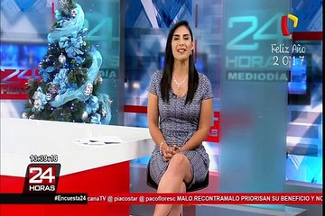 Costa Verde: conozca a los perros salvavidas que vigilan las playas de Lima