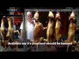Picture This: Yulin Dog Meat Festival