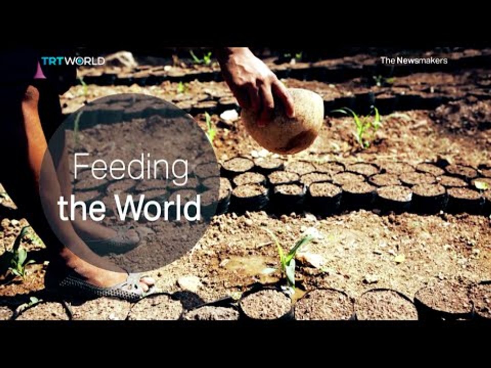 The Newsmakers: Vertical Farming