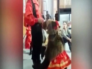 Grizzly Bear Attacks TV Presenter