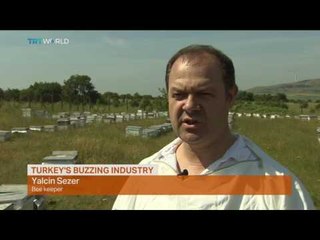 Money Talks: Turkey’s buzzing industry