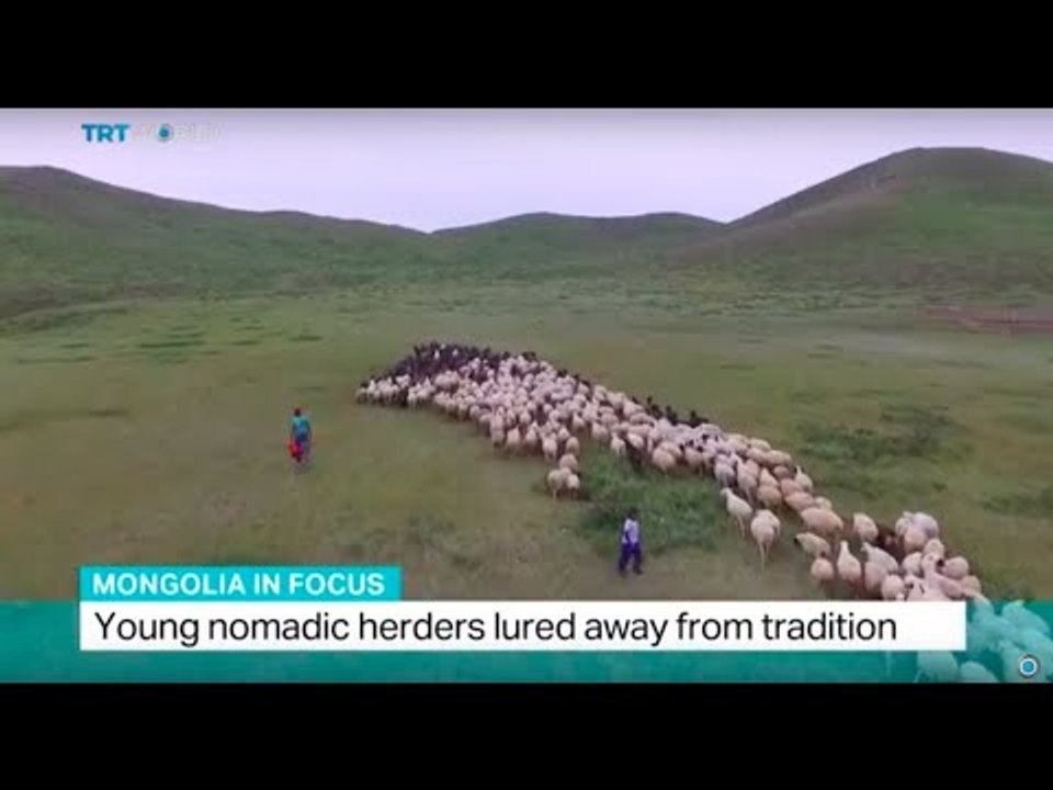 Mongolia in Focus: Young nomadic herders lured away from tradition, Shamim Chowdhury reports