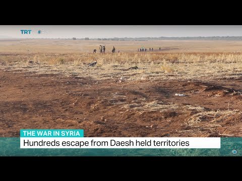 The War in Syria: Hundreds escape Daesh held territories, Soraya Lennie reports