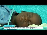 Yellow Fever: Leading charity says disease could go global, Shamim Chowdhury reports
