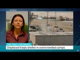 Fight For Mosul: Displaced Iraqis shelter in overcrowded camps, Nicole Johnston reports