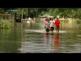 Louisiana Flood: Torrential rains killed 13 people, Kilmeny Duchardt reports