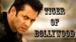 Saif Ali Khan, Kareena Kapoor Feel Salman Khan Is The Tiger Of Bollywood