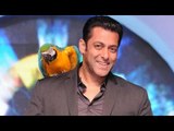 Salman Khan Interacts With The Parrot Radhe At Bigg Boss Season 6 Press Conference