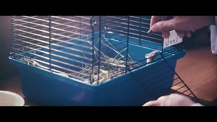 Marshmello  Alone Official Music