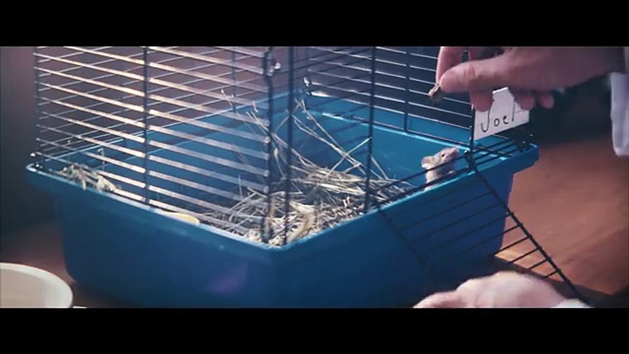 Marshmello  Alone Official Music