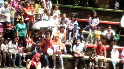Atraksi Gajah... wooww. gajah -e pinter tenan