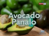 Good News: Avocado Panalo!