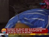 Bangkay na balot ang ulo at nakagapos ang mga kamay at paa, natagpuan sa ilalim ng tulay sa Maynila