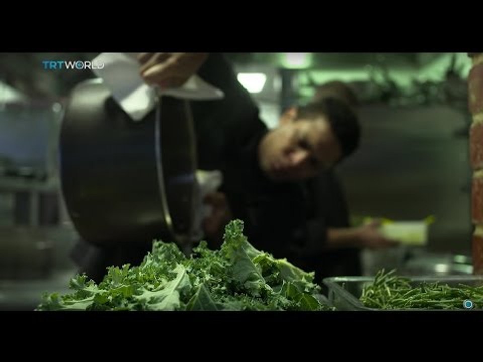 Money Talks: Food waste app