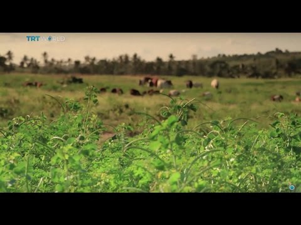 Money Talks: Helping farmers in Africa, interview with AP du Plessis