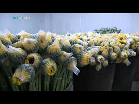 Money Talks: Ecuador hopes to boost foreign investment