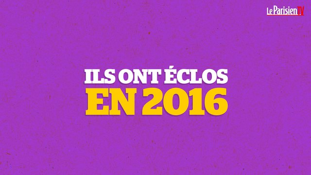 PNL, Lily-Rose Depp, Slimane, LP, Jain: nos révélations 2016