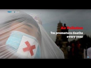 Insight: The Dangers of Diesel Pollution - Part II